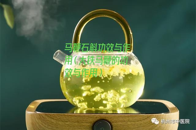 马鞭石斛功效与作用