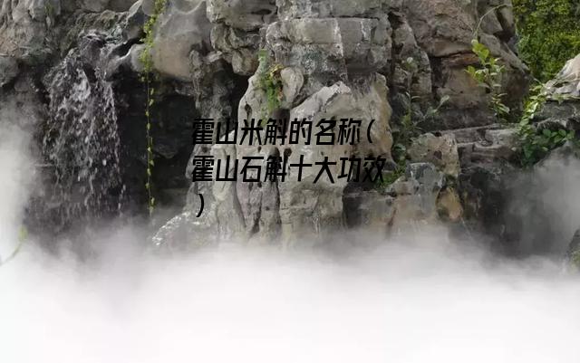 霍山米斛的名称