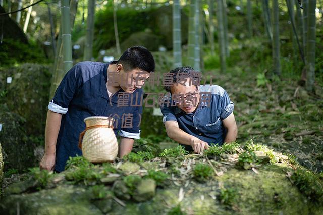 霍山石斛宣传简介