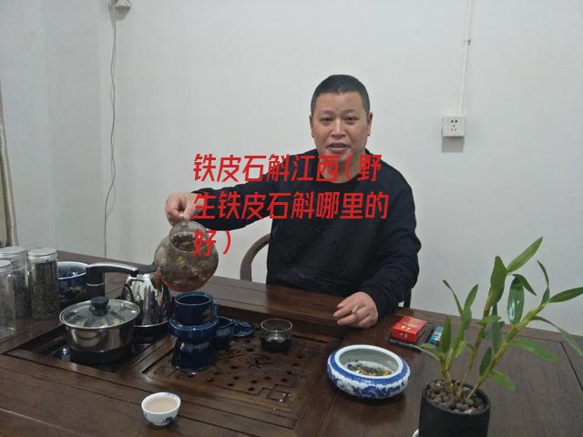 铁皮石斛江西