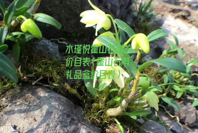 水瑾悦霍山石斛的价目表