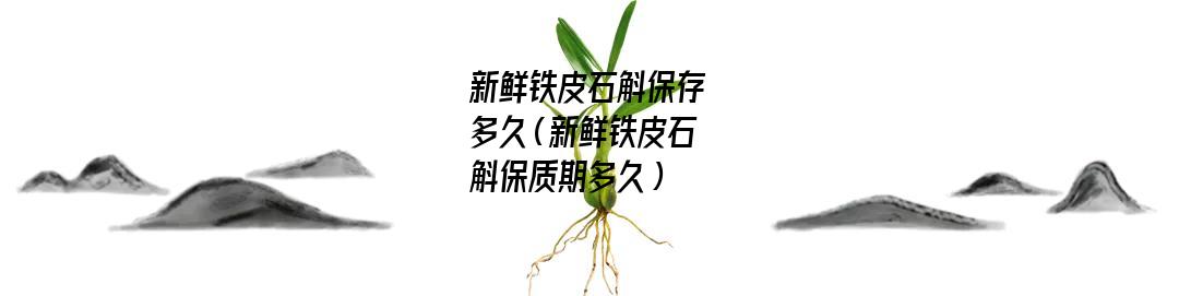 新鲜铁皮石斛保存多久