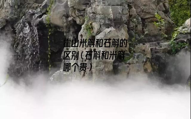 霍山米斛和石斛的区别