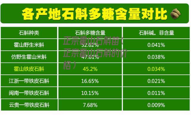 正宗霍山石斛苗