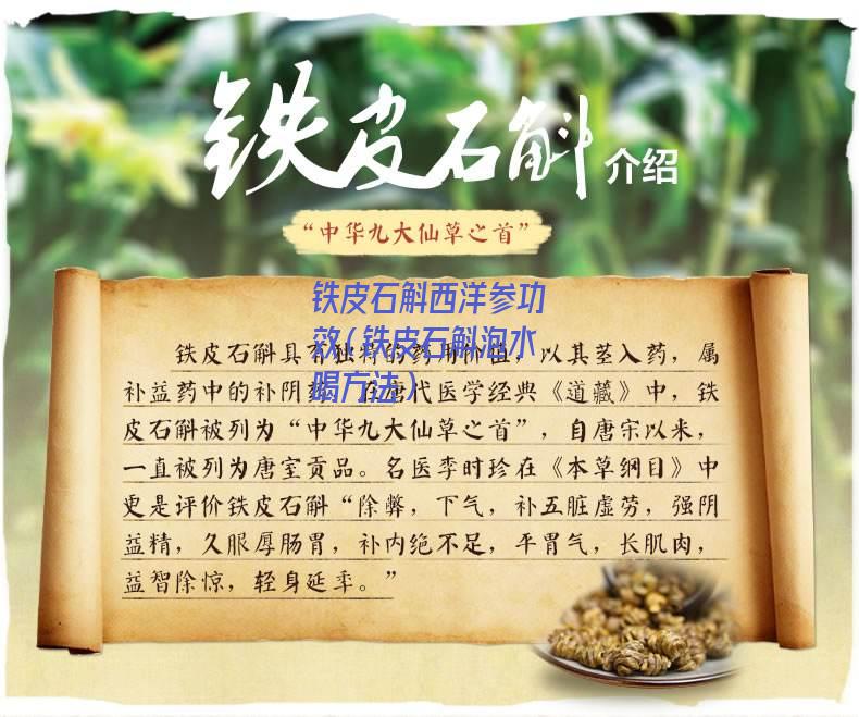 铁皮石斛西洋参功效（铁皮石斛泡水喝方法）