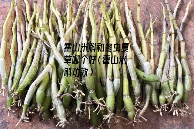 霍山米斛和冬虫夏草哪个好