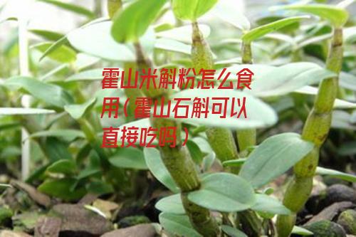 霍山米斛粉怎么食用