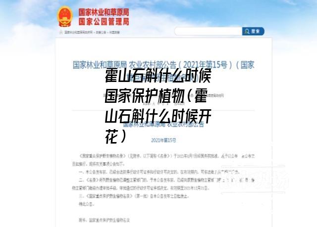 霍山石斛什么时候国家保护植物