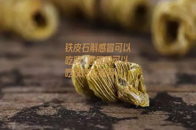 铁皮石斛感冒可以吃吗