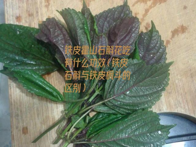 铁皮霍山石斛花吃有什么功效