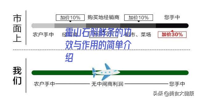 霍山石斛鲜条的功效与作用