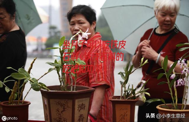 坐月子可以吃铁皮石斛