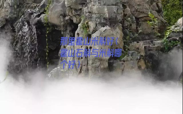 那里霍山米斛好