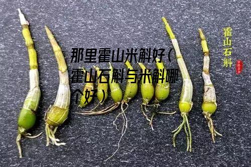 那里霍山米斛好