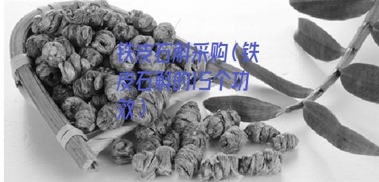 铁皮石斛采购