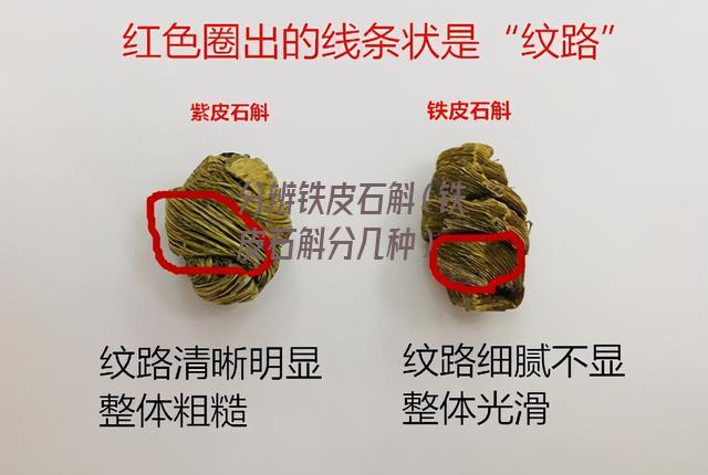 分辨铁皮石斛