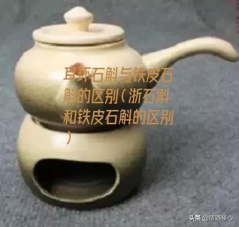 耳环石斛与铁皮石斛的区别