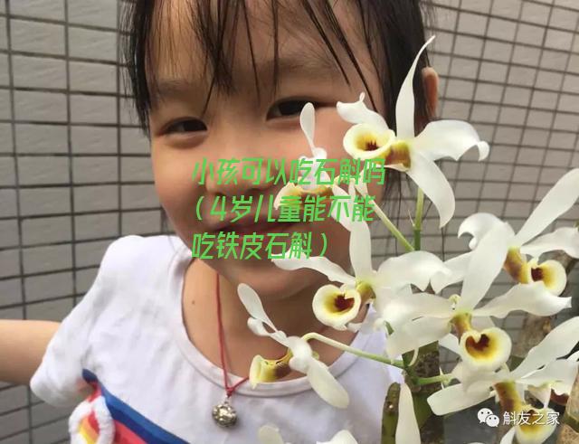 小孩可以吃石斛吗