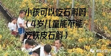 小孩可以吃石斛吗