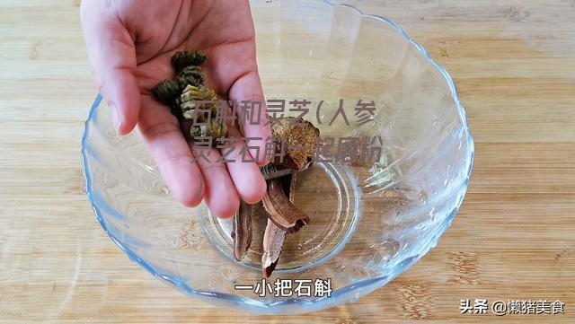 石斛和灵芝