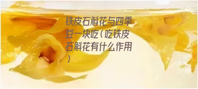 铁皮石斛花与四季豆一块吃