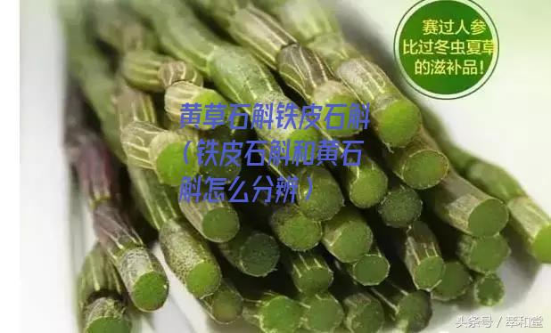 黄草石斛铁皮石斛