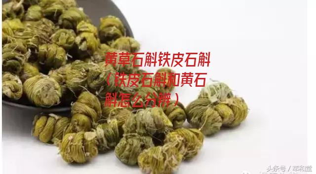 黄草石斛铁皮石斛