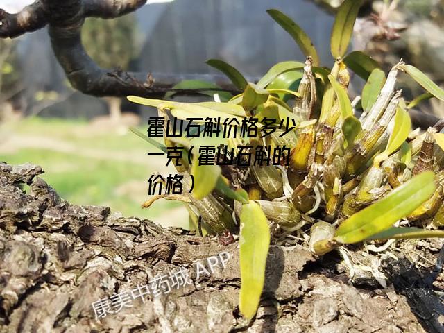 霍山石斛价格多少一克