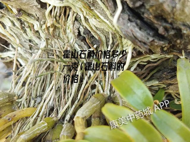 霍山石斛价格多少一克