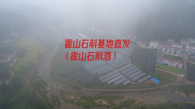 霍山石斛基地直发