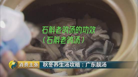 石斛老鸽汤的功效