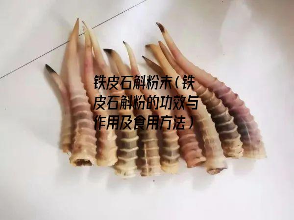 铁皮石斛粉末