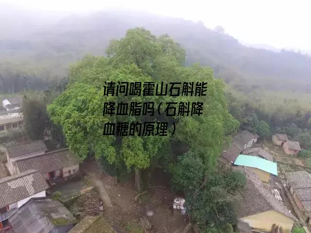 请问喝霍山石斛能降血脂吗