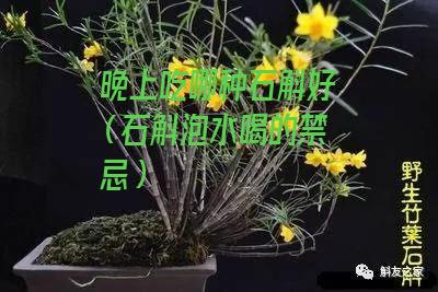 晚上吃哪种石斛好