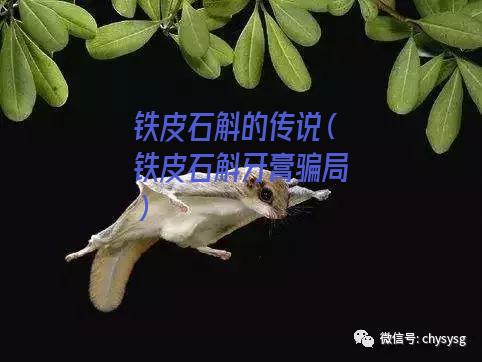 铁皮石斛的传说