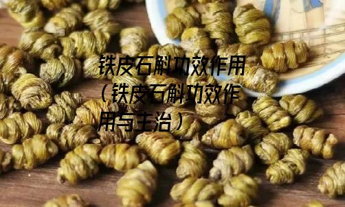 铁皮石斛功效作用