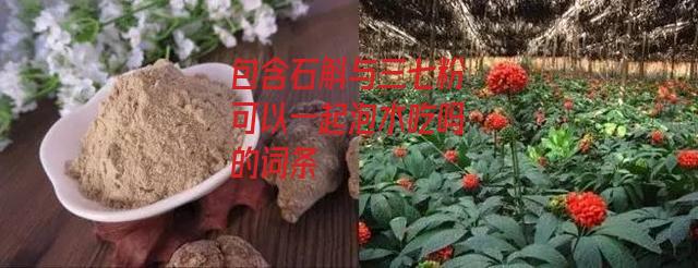 石斛与三七粉可以一起泡水吃吗