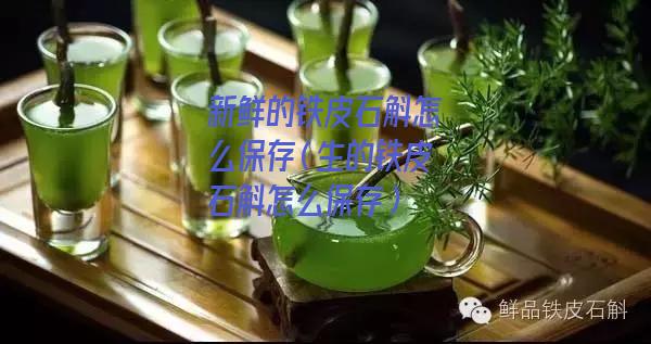 新鲜的铁皮石斛怎么保存