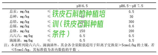 铁皮石斛的种植培训