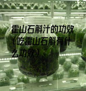 霍山石斛汁的功效