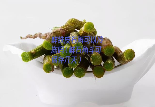 鲜铁皮石斛可以冷冻吗