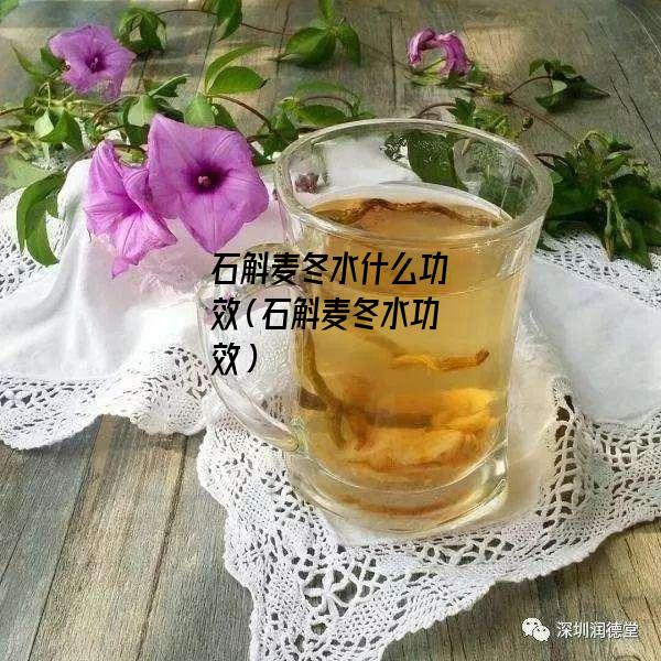 石斛麦冬水什么功效（石斛麦冬水功效）