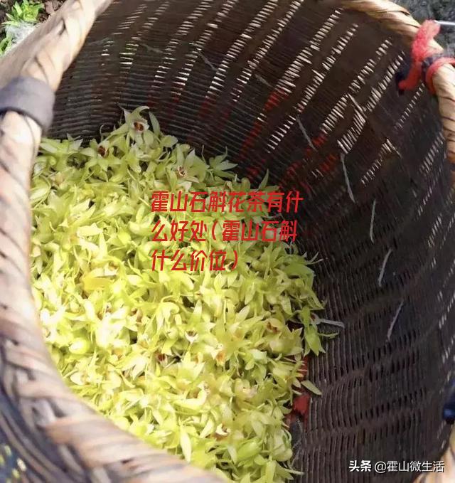 霍山石斛花茶有什么好处