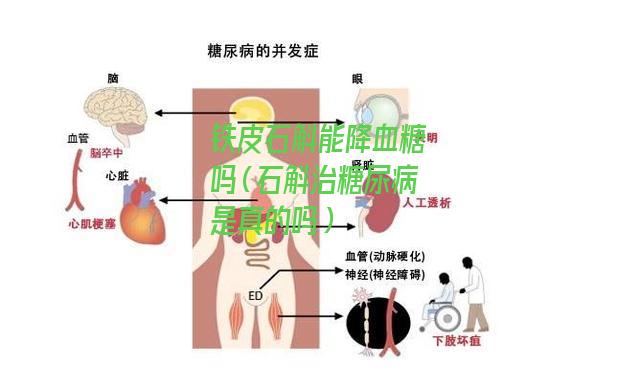 铁皮石斛能降血糖吗