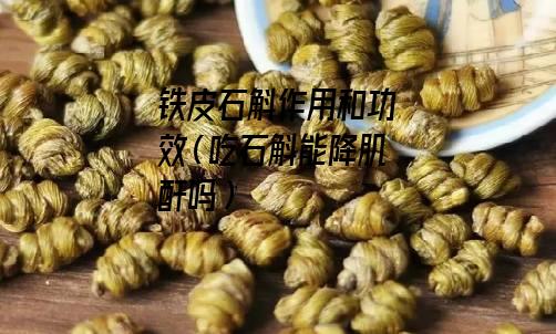 铁皮石斛作用和功效