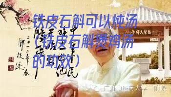 铁皮石斛可以炖汤