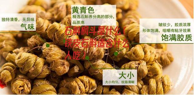 石斛枫斗是什么