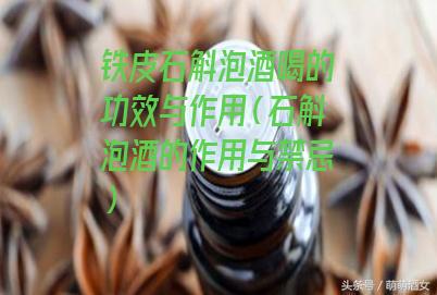 铁皮石斛泡酒喝的功效与作用