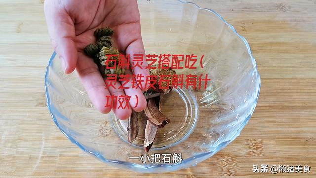 石斛灵芝搭配吃