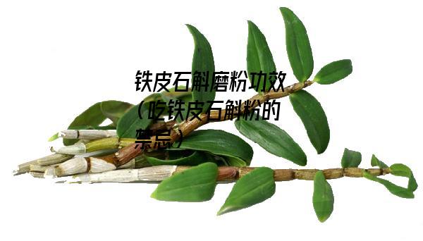 铁皮石斛磨粉功效